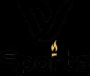 DV Sports
